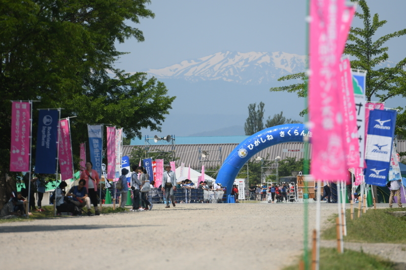 f:id:midorigameko:20180608143040j:image