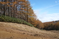 20181108150908