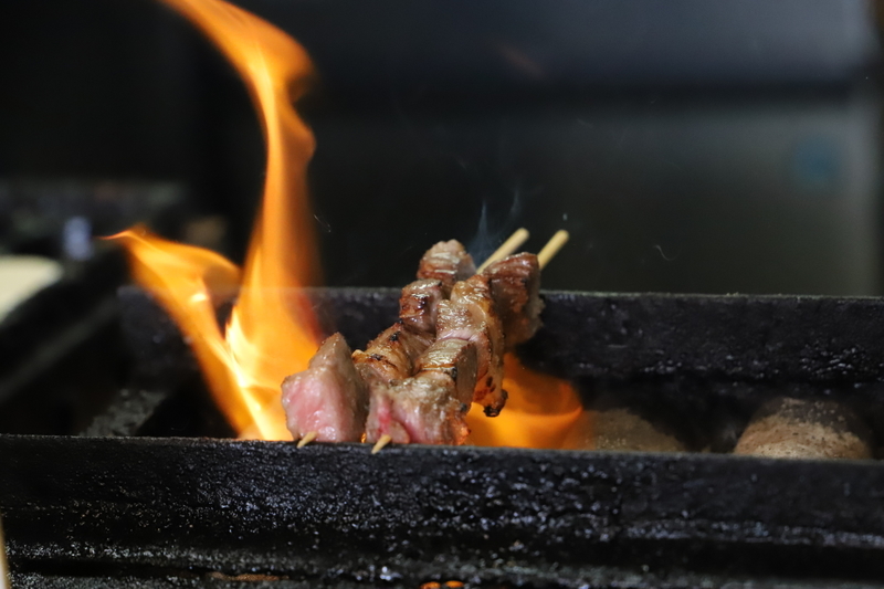 f:id:midorigameko:20190612092109j:plain