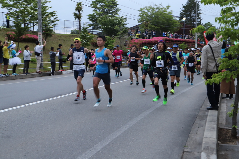 f:id:midorigameko:20190612092146j:plain