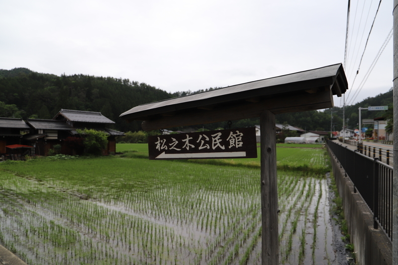 f:id:midorigameko:20190612092208j:plain