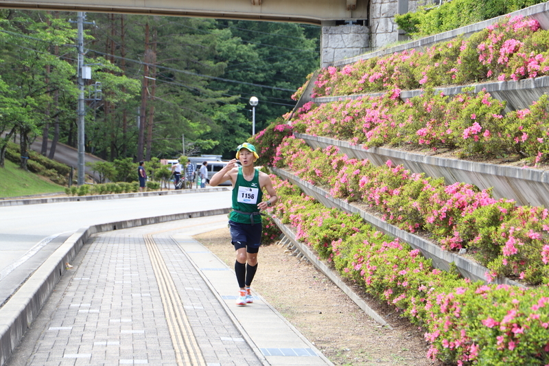 f:id:midorigameko:20190612092303j:plain