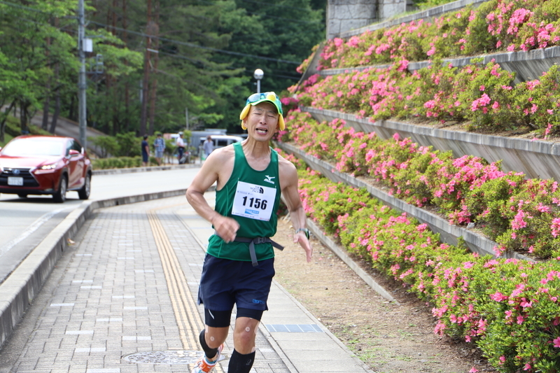 f:id:midorigameko:20190612092306j:plain