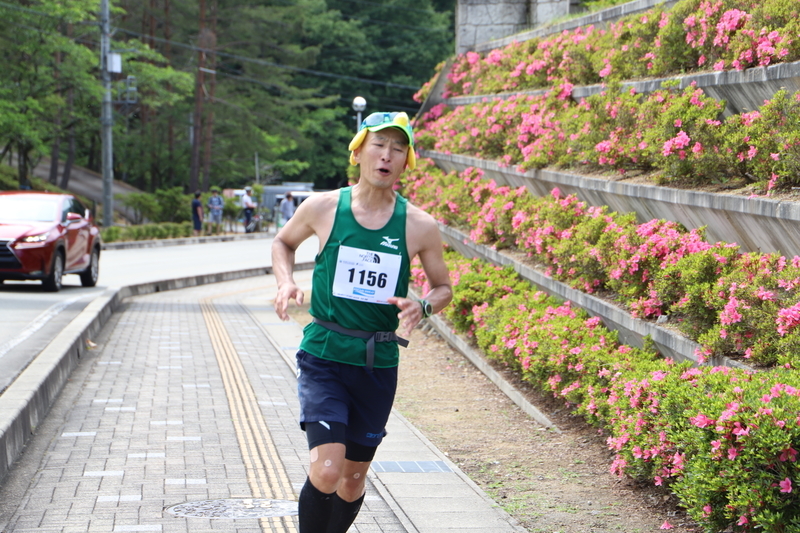 f:id:midorigameko:20190612092307j:plain