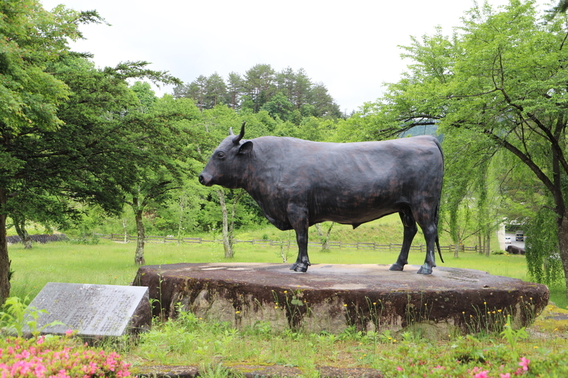 f:id:midorigameko:20190612092329j:plain