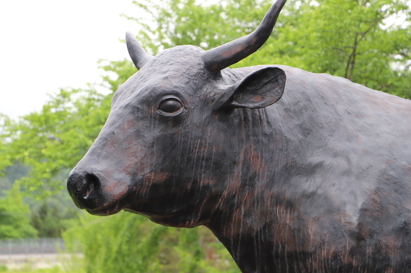 f:id:midorigameko:20190612092331j:plain