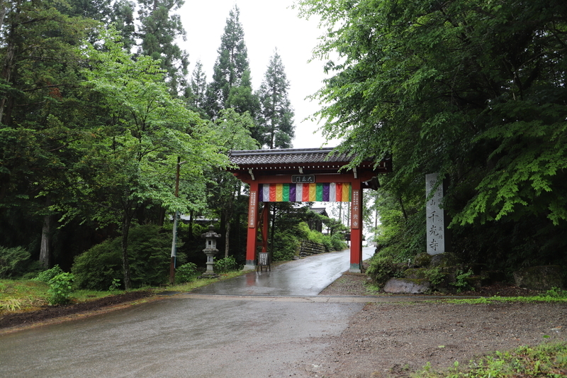 f:id:midorigameko:20190612092348j:plain