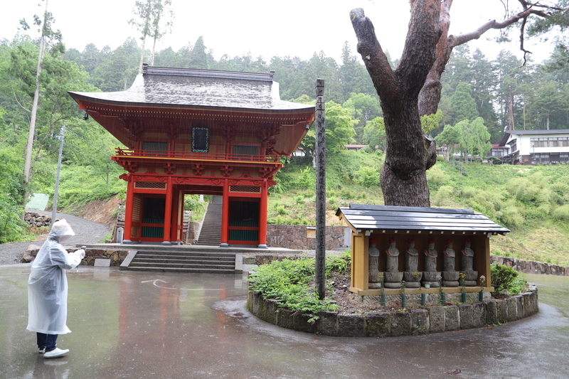 f:id:midorigameko:20190612092401j:plain