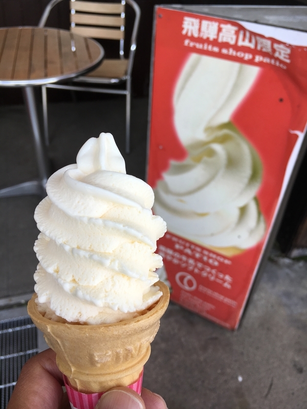 f:id:midorigameko:20190612131540j:plain