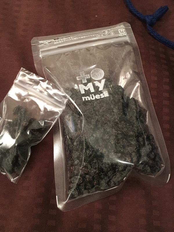 f:id:midorigameko:20190612131550j:plain