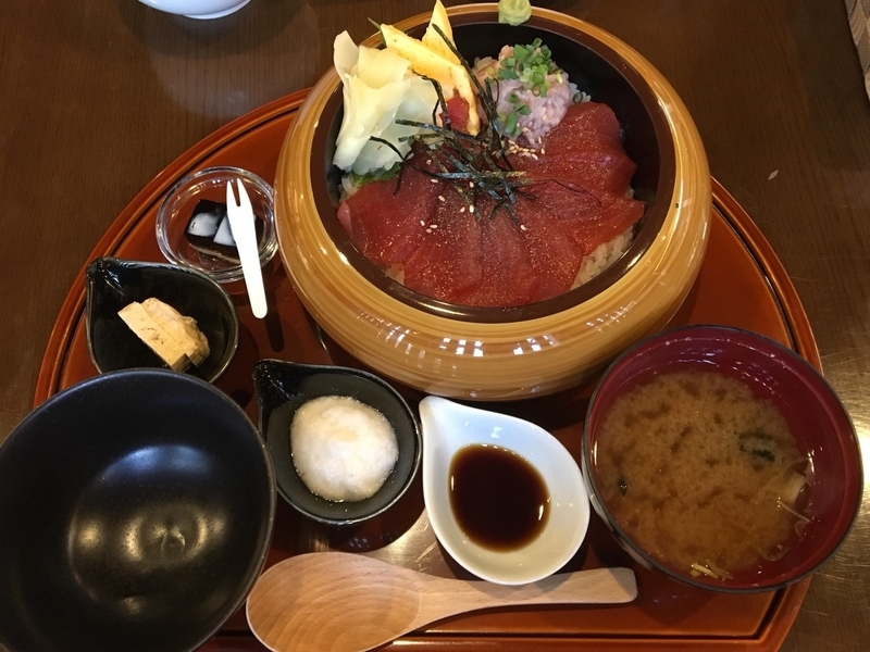 f:id:midorigameko:20190612131558j:plain