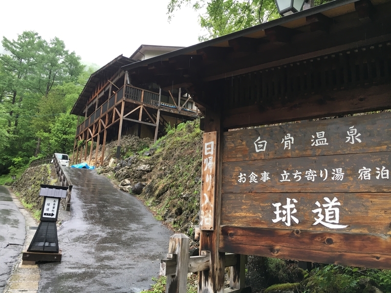 f:id:midorigameko:20190612131636j:plain