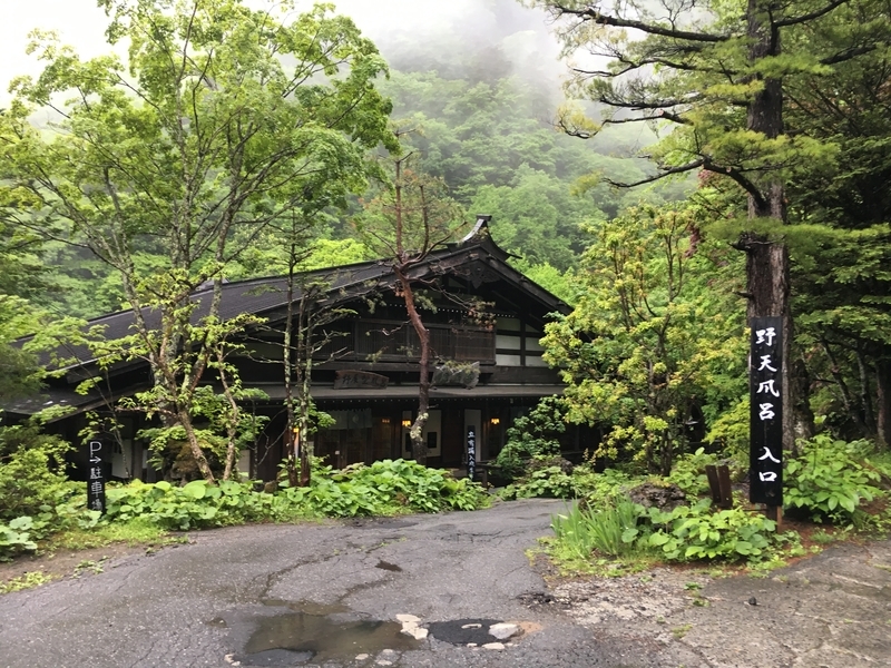 f:id:midorigameko:20190612131637j:plain