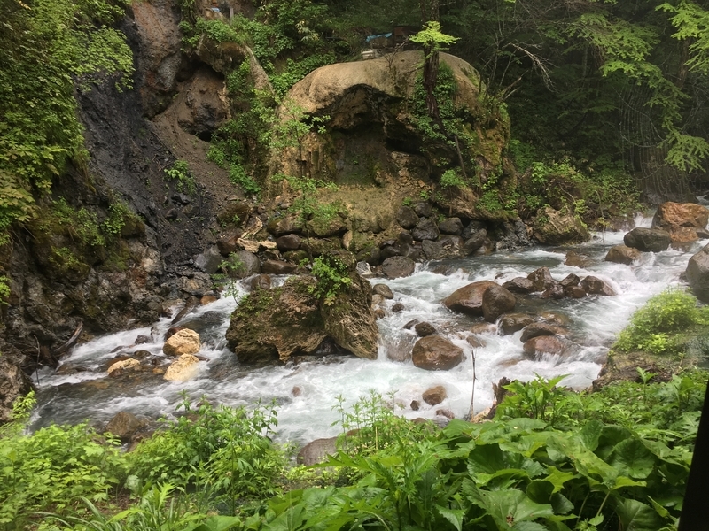 f:id:midorigameko:20190612131640j:plain