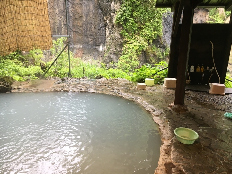 f:id:midorigameko:20190612131642j:plain