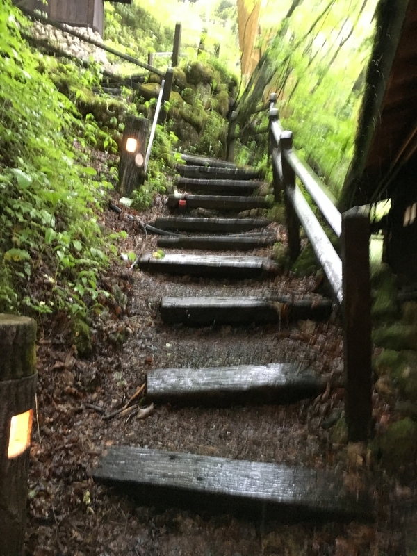 f:id:midorigameko:20190612131643j:plain