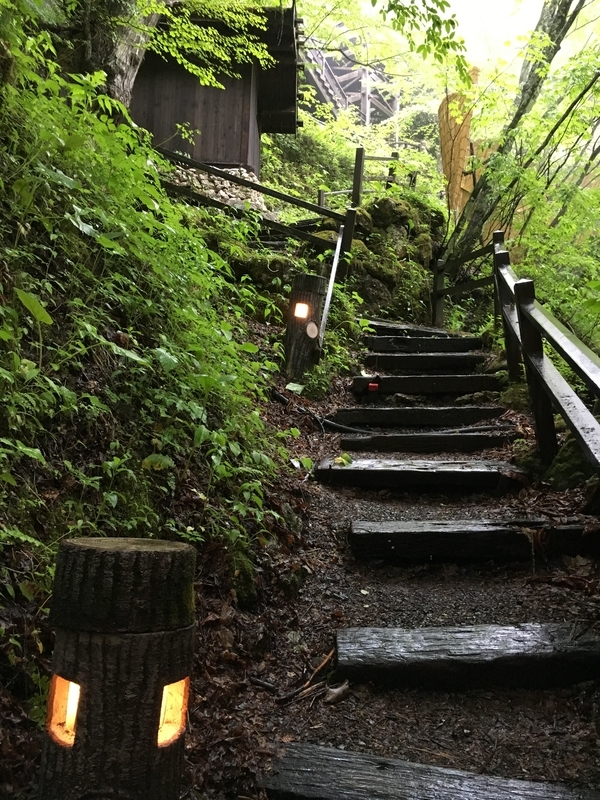 f:id:midorigameko:20190612131644j:plain