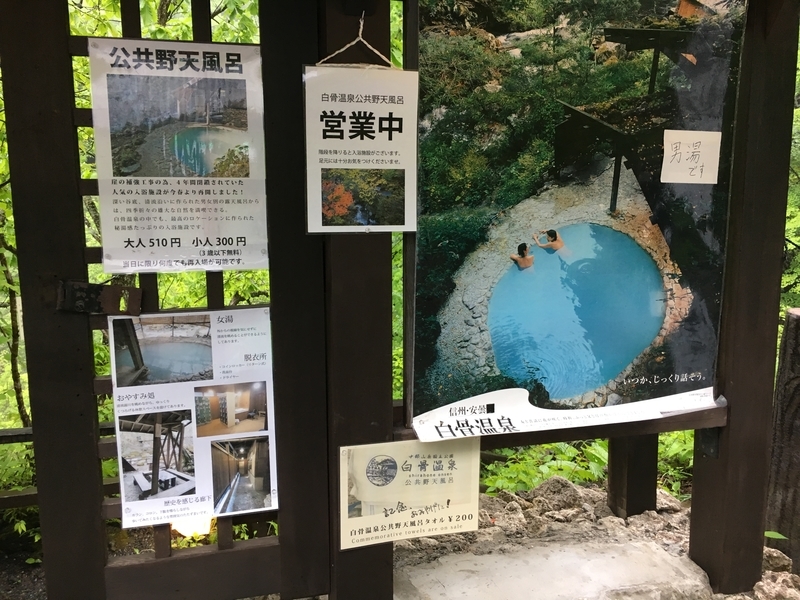 f:id:midorigameko:20190612131645j:plain