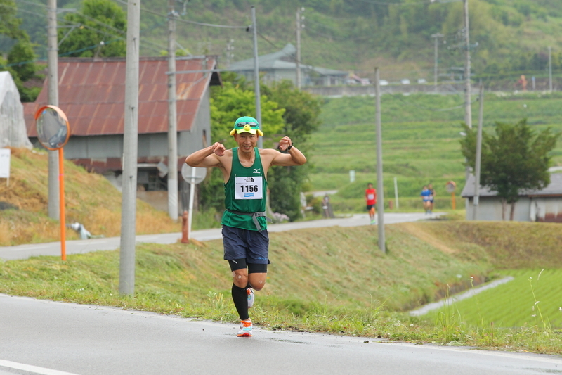 f:id:midorigameko:20190615120700j:plain