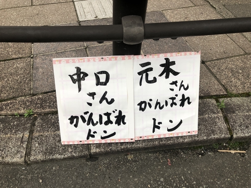 f:id:midorigameko:20190617095237j:plain