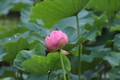 20190717191358