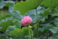 20190717191405