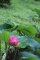 20190717191422