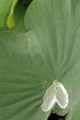 20190717191450