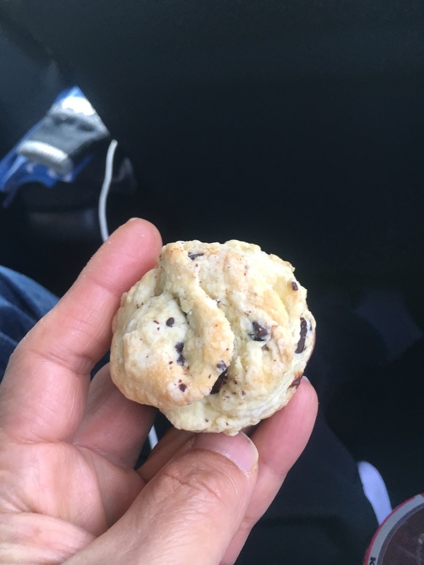 f:id:midorigameko:20200128165105j:plain