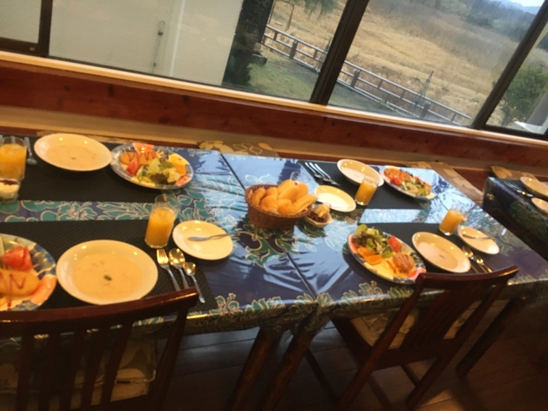 f:id:midorigameko:20200128165317j:plain