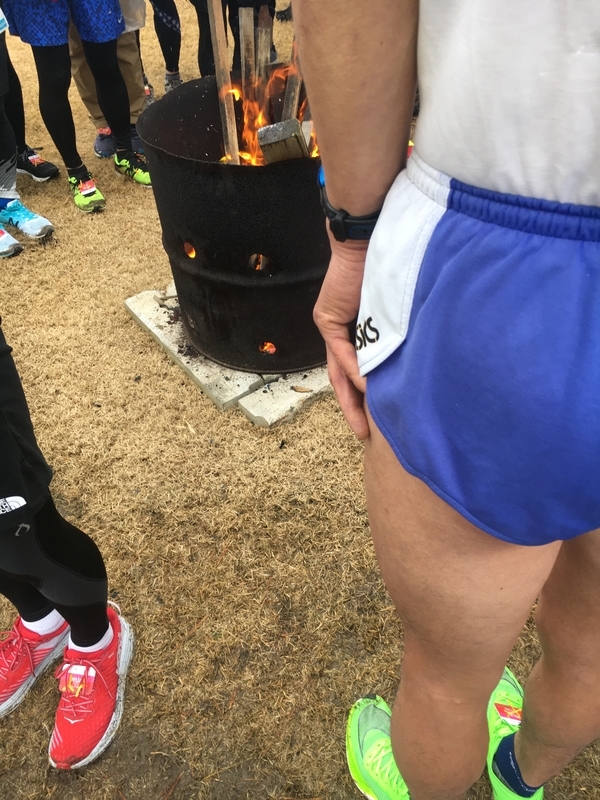 f:id:midorigameko:20200128165501j:plain