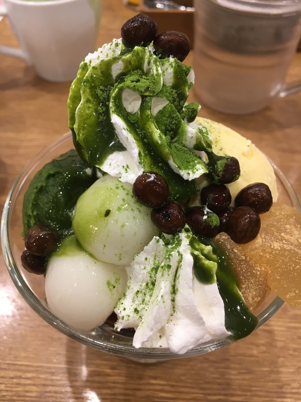 f:id:midorigameko:20200128165538j:plain