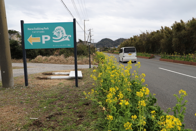 f:id:midorigameko:20200128165700j:plain