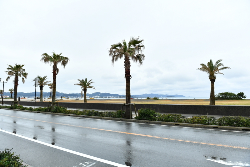 f:id:midorigameko:20200208195249j:plain