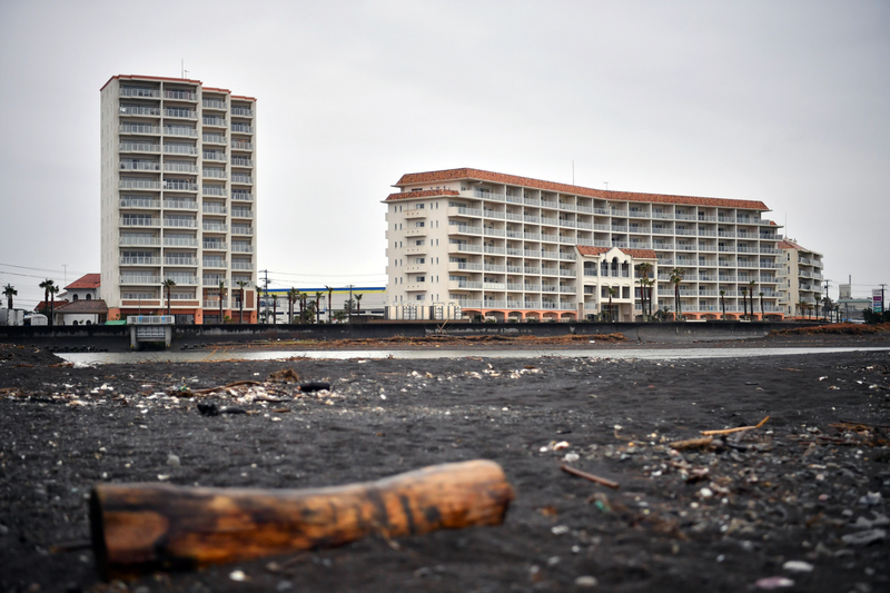 f:id:midorigameko:20200208195531j:plain