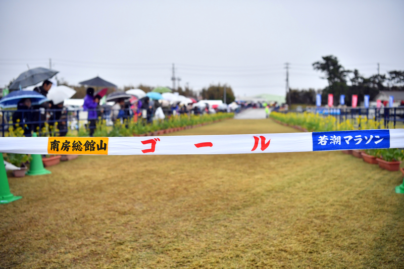 f:id:midorigameko:20200208195545j:plain