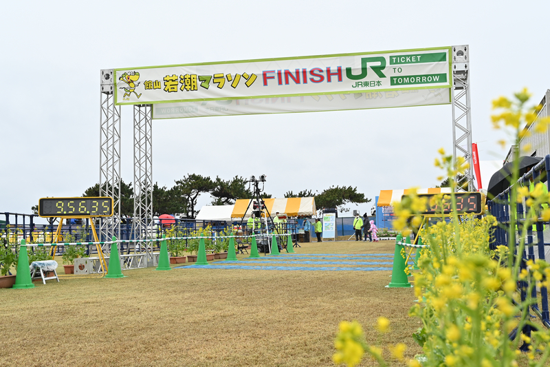 f:id:midorigameko:20200208195730j:plain