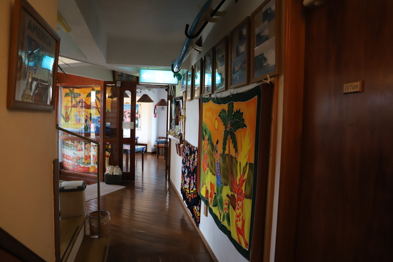 f:id:midorigameko:20200210163318j:plain