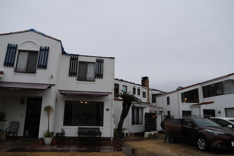 f:id:midorigameko:20200210163346j:plain