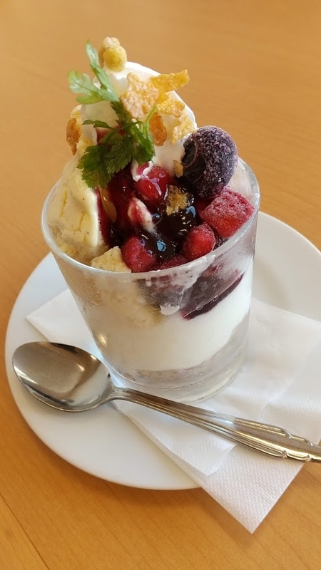 f:id:midorigameko:20201201135919j:plain