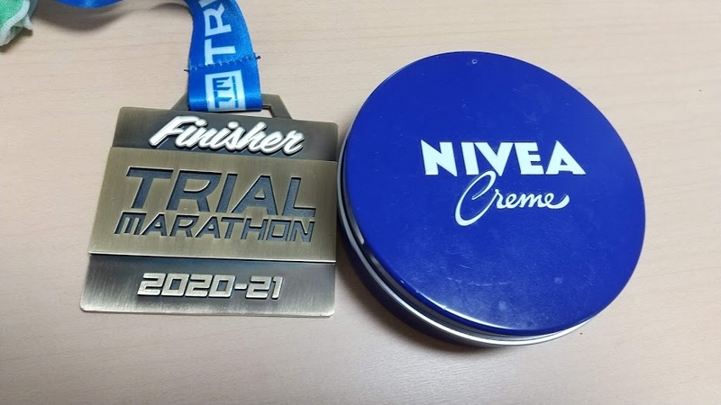 f:id:midorigameko:20201201135924j:plain