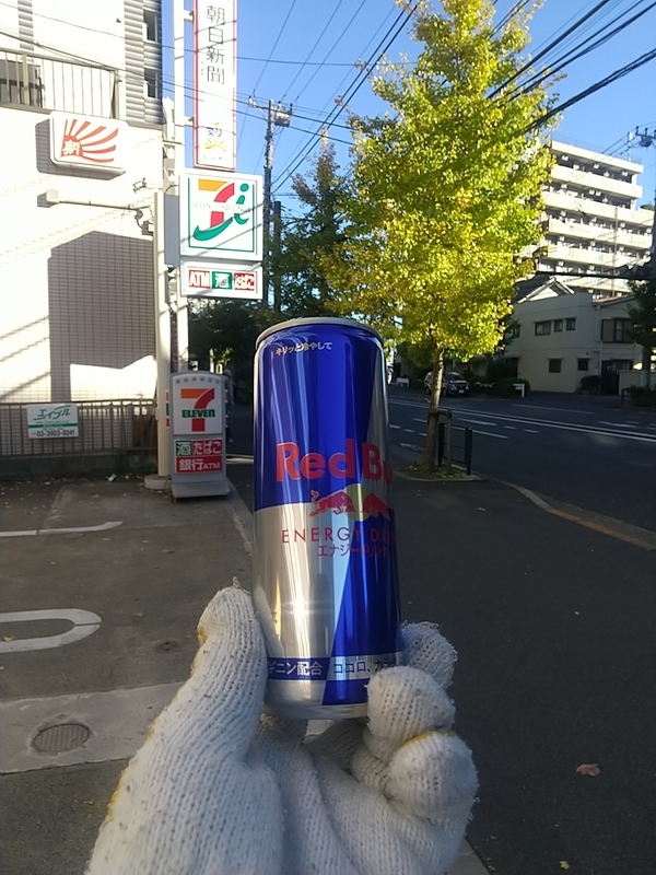 f:id:midorigameko:20211216102728j:plain