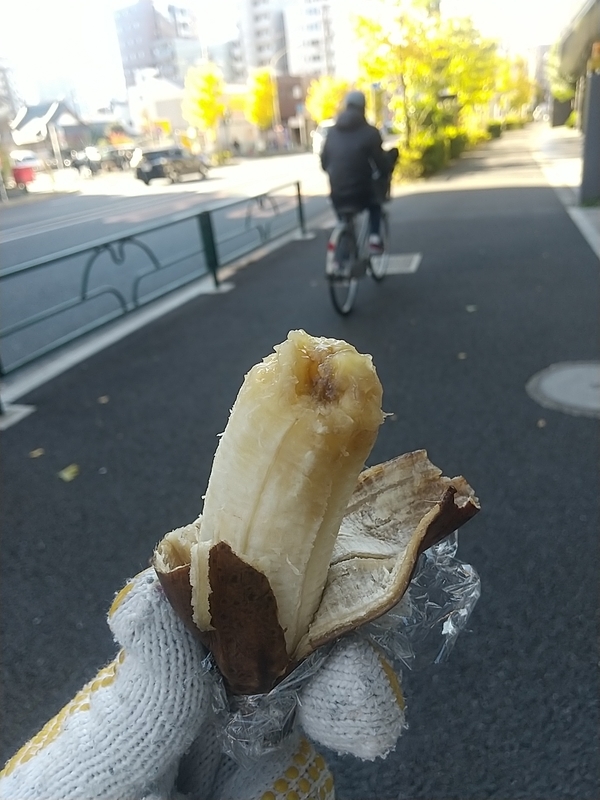 f:id:midorigameko:20211216102809j:plain