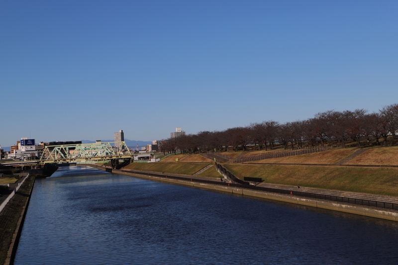 f:id:midorigameko:20211216102819j:plain