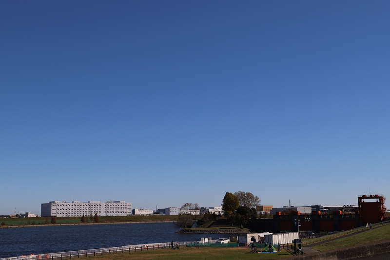 f:id:midorigameko:20211216102845j:plain