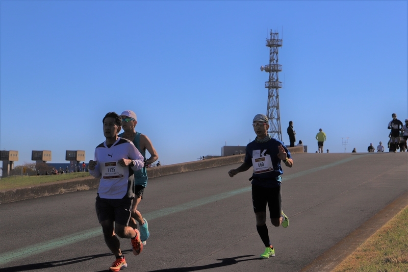 f:id:midorigameko:20211216102901j:plain