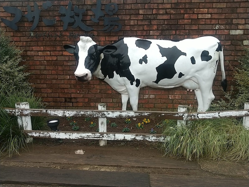 f:id:midorigameko:20220110140753j:plain