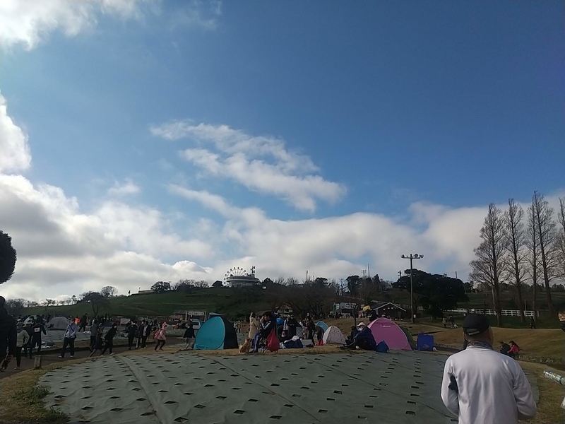 f:id:midorigameko:20220110140925j:plain