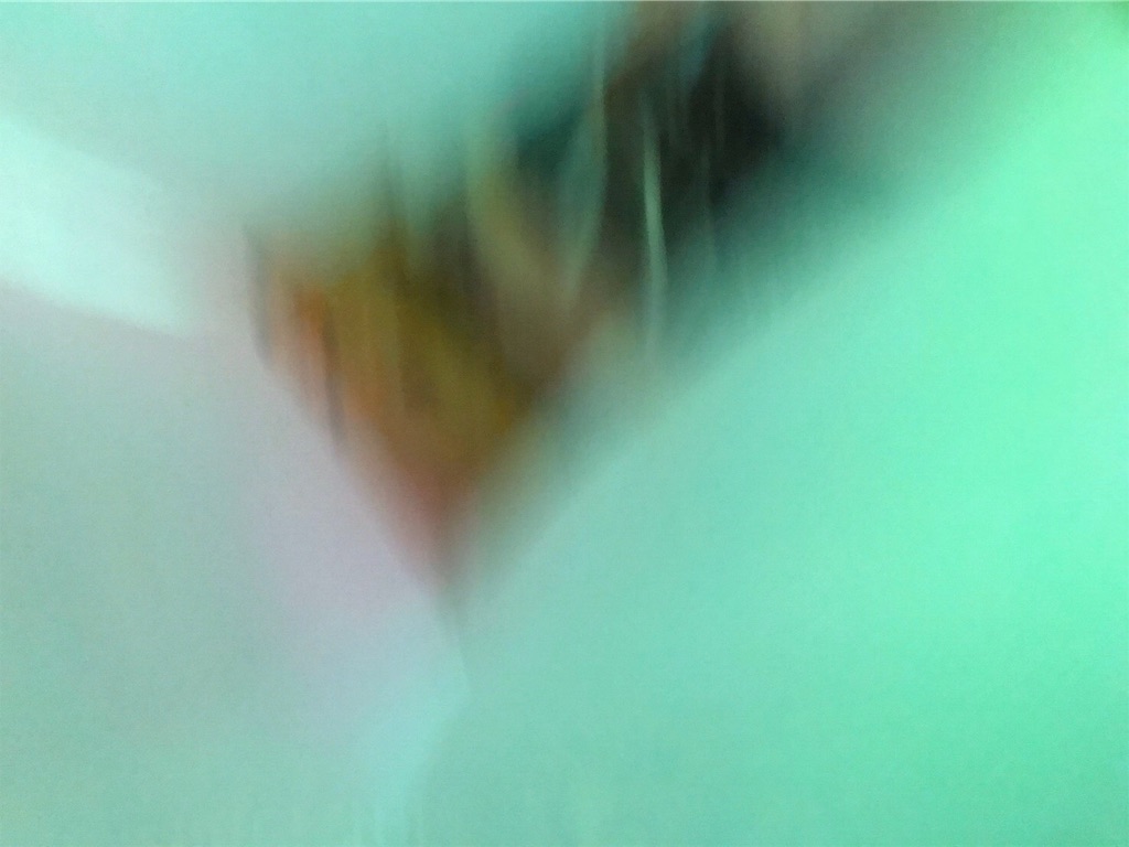 f:id:midoriiro2:20200219231058j:image