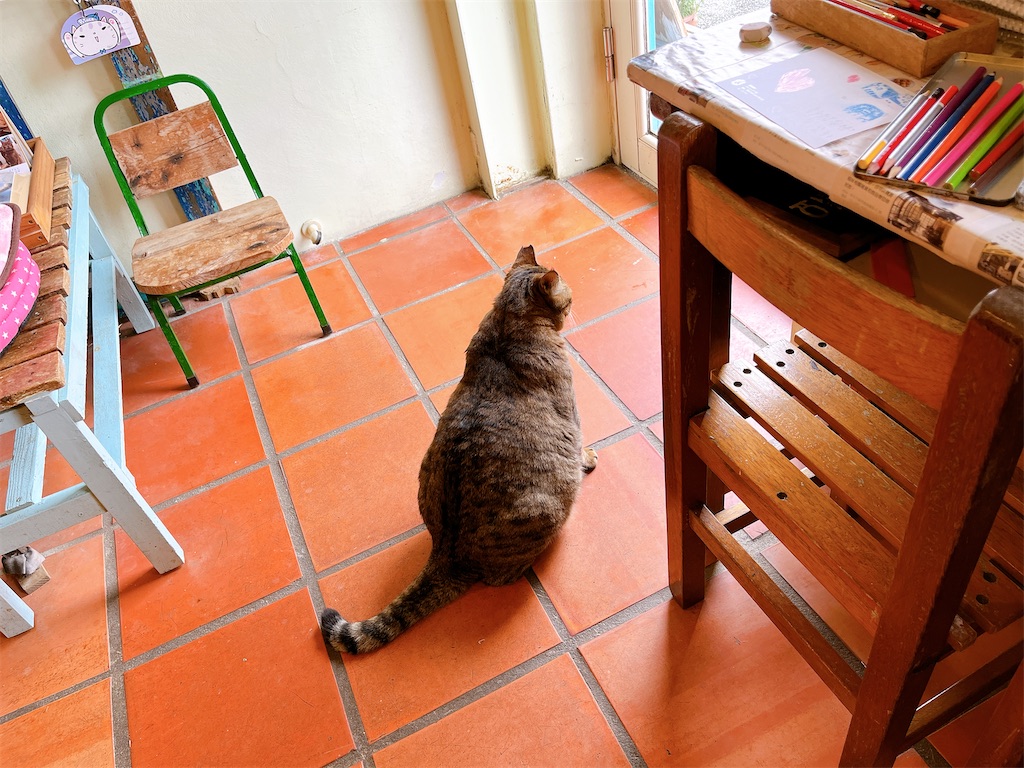 f:id:midoriiro2:20240213164614j:image